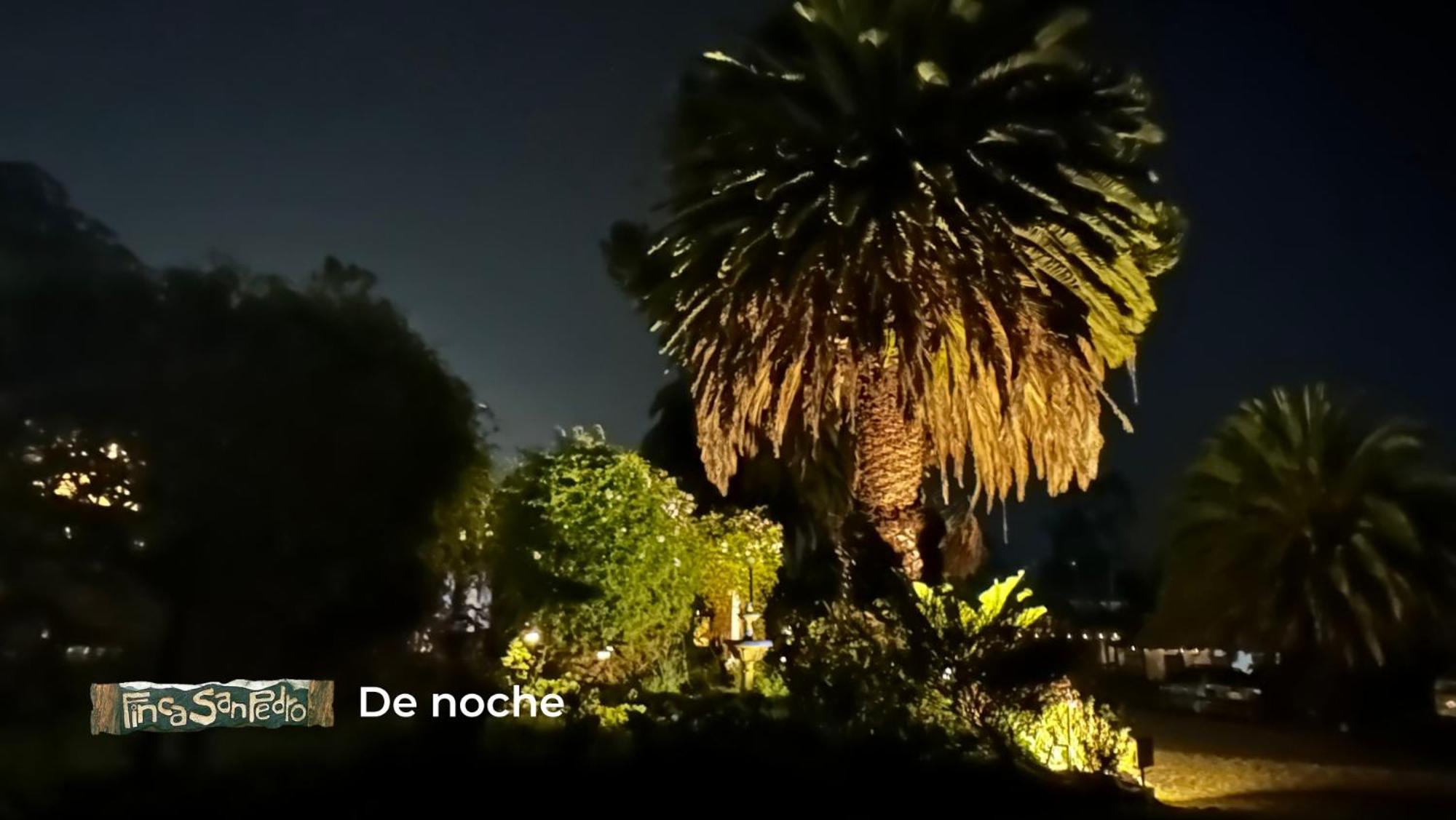 Finca San Pedro -Alojamiento Campestre Y Reserva Natural- سوغاموسو المظهر الخارجي الصورة