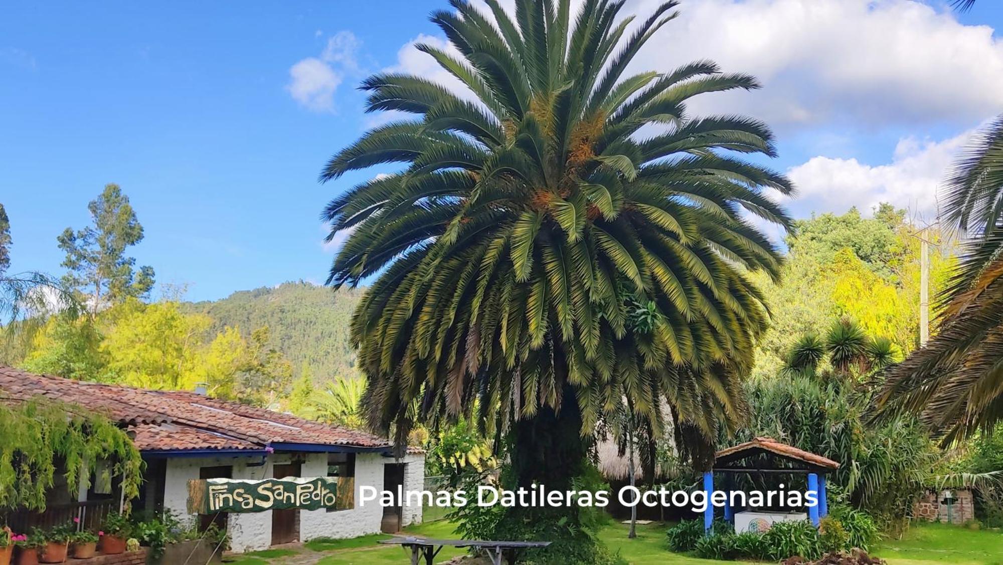 Finca San Pedro -Alojamiento Campestre Y Reserva Natural- سوغاموسو المظهر الخارجي الصورة
