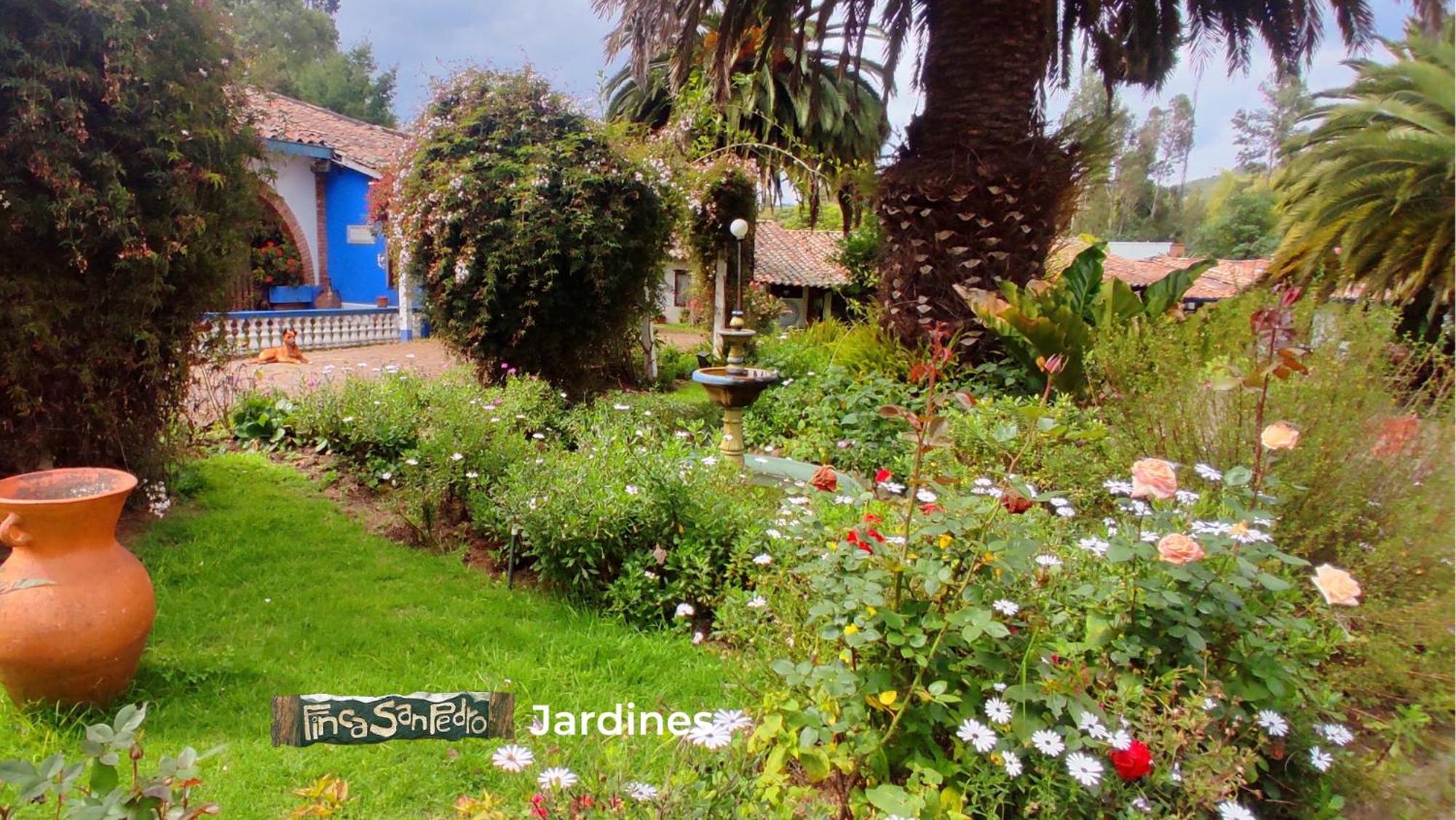 Finca San Pedro -Alojamiento Campestre Y Reserva Natural- سوغاموسو المظهر الخارجي الصورة