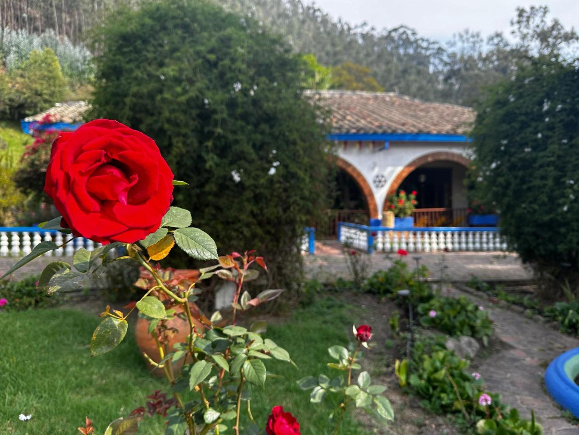Finca San Pedro -Alojamiento Campestre Y Reserva Natural- سوغاموسو المظهر الخارجي الصورة